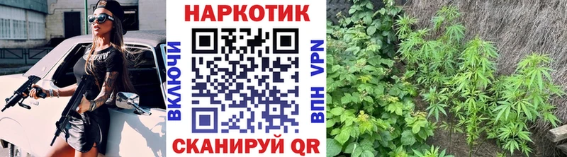 Цена Николаевск-на-Амуре Альфа ПВП  КОКАИН  АМФЕТАМИН  Канабис  ГАШ  Меф 