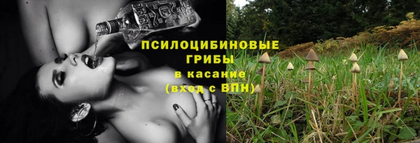 гидропоника Алексеевка