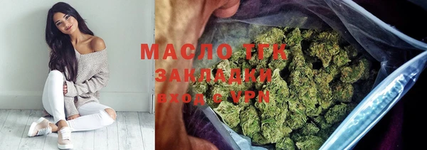 индика Нягань